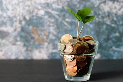 financial-issues-money-pot-plant-help-someone-supportiv-growth